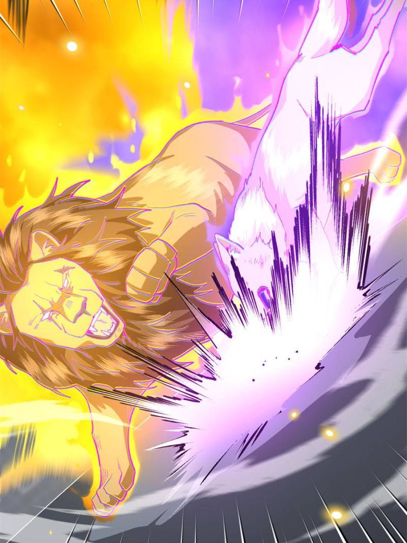 81494778 800 1067 102871