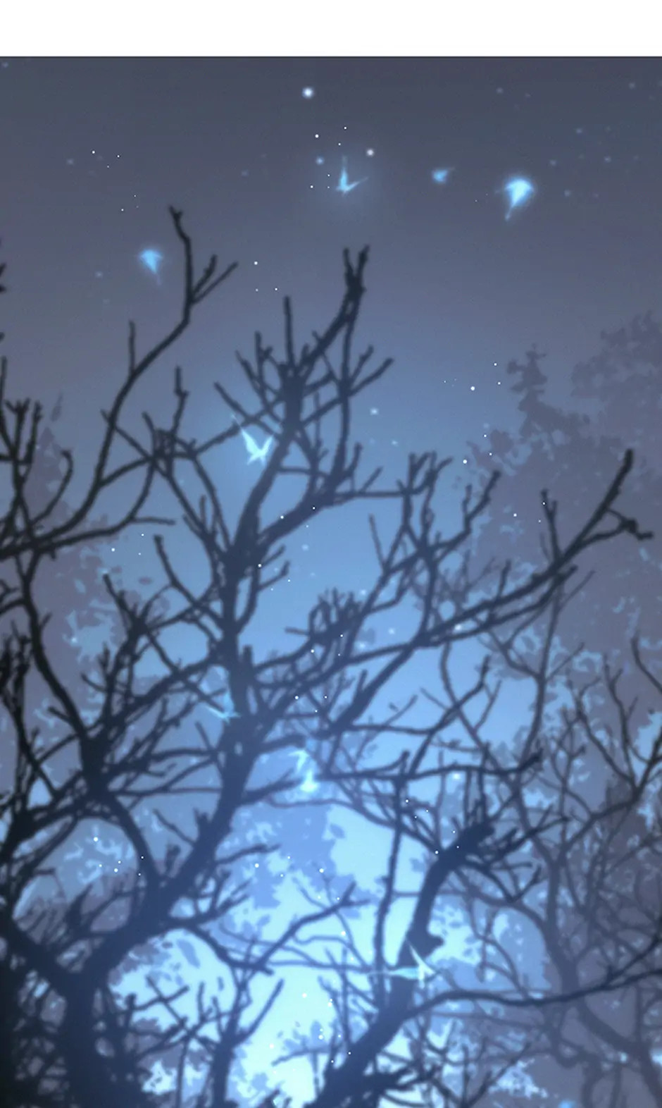 74052319 940 1572 54134